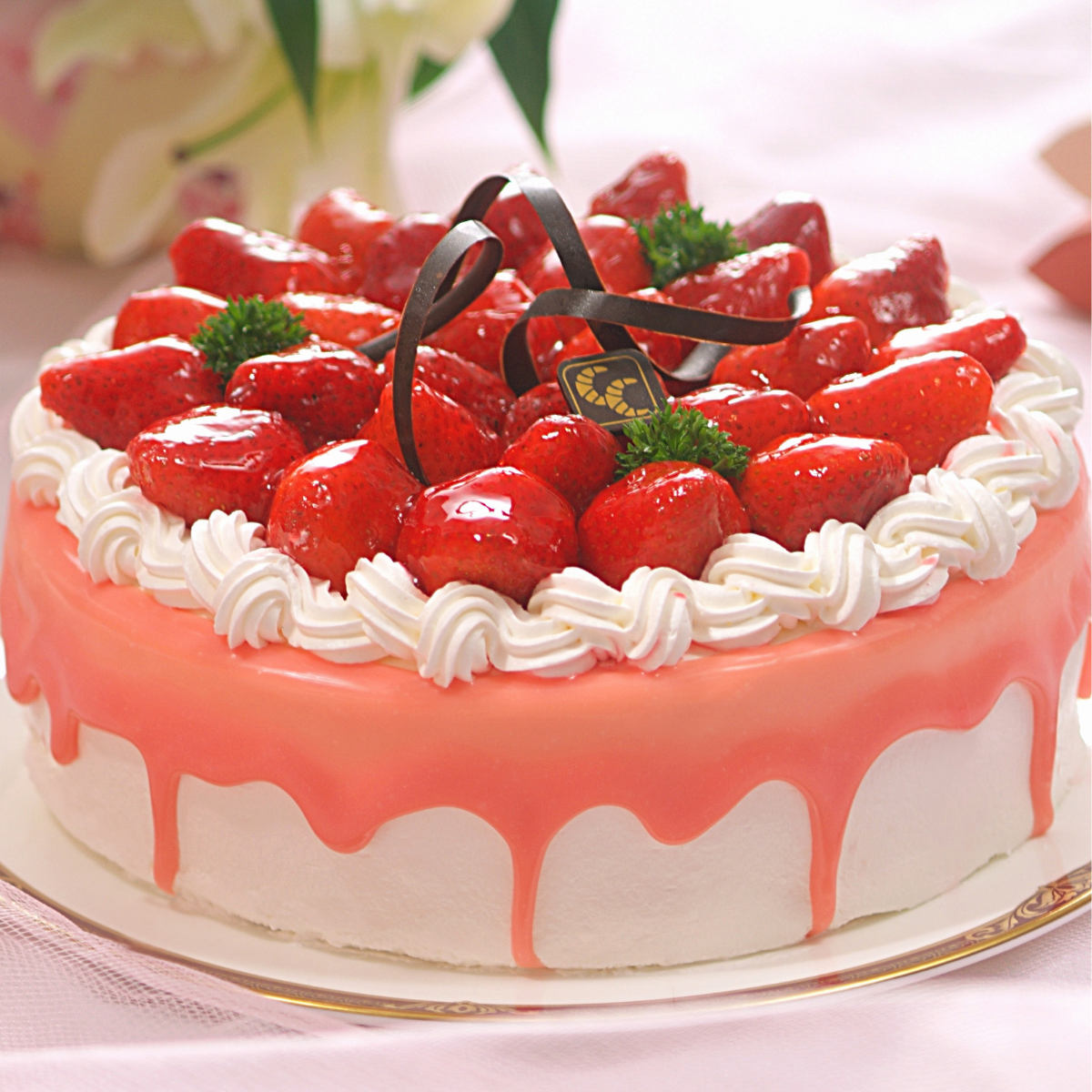 Cake_TOTALGIFTX