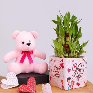 Adorable Teddy With Bamboo Combo