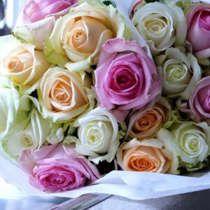 Roses Mix Colour